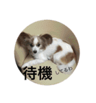 中岡家（個別スタンプ：24）