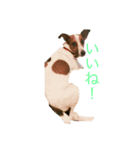 ロコwithコテツ（個別スタンプ：4）