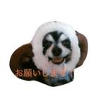 ロコwithコテツ（個別スタンプ：5）