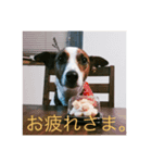 ロコwithコテツ（個別スタンプ：6）