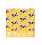 ロコwithコテツ（個別スタンプ：8）