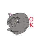 ねこネコ（個別スタンプ：1）