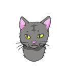 ねこネコ（個別スタンプ：10）