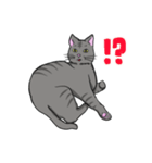 ねこネコ（個別スタンプ：12）