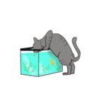 ねこネコ（個別スタンプ：13）
