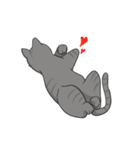 ねこネコ（個別スタンプ：14）