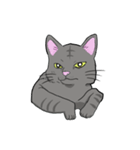 ねこネコ（個別スタンプ：16）