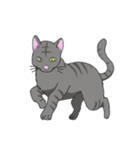 ねこネコ（個別スタンプ：18）