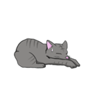 ねこネコ（個別スタンプ：20）