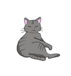 ねこネコ（個別スタンプ：21）
