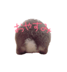うさぎのTIPPY（個別スタンプ：4）