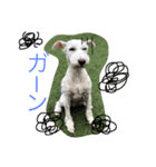 三四郎十二朗（個別スタンプ：2）