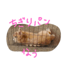 岩尾のん（個別スタンプ：4）