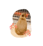 岩尾のん（個別スタンプ：15）