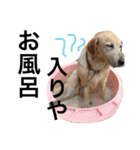 めいたら（個別スタンプ：12）