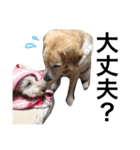 めいたら（個別スタンプ：25）
