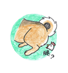 Star is you name（個別スタンプ：10）