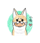 Star is you name（個別スタンプ：12）