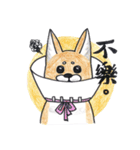 Star is you name（個別スタンプ：17）