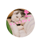 Tさん家の愉快な妖精たち 第2弾（個別スタンプ：1）