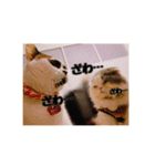 Tさん家の愉快な妖精たち 第2弾（個別スタンプ：5）