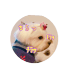 Tさん家の愉快な妖精たち 第2弾（個別スタンプ：7）