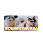 Tさん家の愉快な妖精たち 第2弾（個別スタンプ：8）