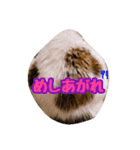 Tさん家の愉快な妖精たち 第2弾（個別スタンプ：14）