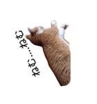 ねるねこ（個別スタンプ：4）