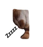 ねるねこ（個別スタンプ：6）