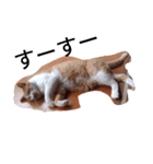 ねるねこ（個別スタンプ：7）