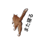 ねるねこ（個別スタンプ：8）