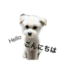 七夕生まれのナナちゃん（個別スタンプ：1）