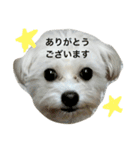 七夕生まれのナナちゃん（個別スタンプ：3）