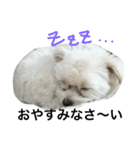 七夕生まれのナナちゃん（個別スタンプ：8）