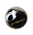 よもわら壱（個別スタンプ：3）