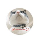 よもわら壱（個別スタンプ：8）
