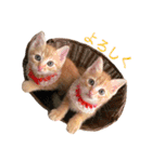 ロビンと愉快な仲間たち（個別スタンプ：3）