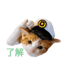 ロビンと愉快な仲間たち（個別スタンプ：4）