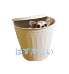 ロビンと愉快な仲間たち（個別スタンプ：7）