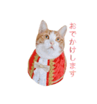 ロビンと愉快な仲間たち（個別スタンプ：16）