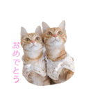 ロビンと愉快な仲間たち（個別スタンプ：19）