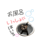 フェレット くくちゃん（個別スタンプ：4）