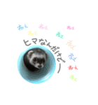 フェレット くくちゃん（個別スタンプ：6）