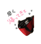 フェレット くくちゃん（個別スタンプ：8）