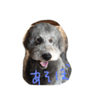 ラウラ先輩の日常1（個別スタンプ：2）