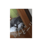 ラウラ先輩の日常1（個別スタンプ：5）