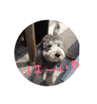 ラウラ先輩の日常1（個別スタンプ：8）