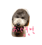 ラウラ先輩の日常1（個別スタンプ：9）