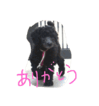 ラウラ先輩の日常1（個別スタンプ：10）
